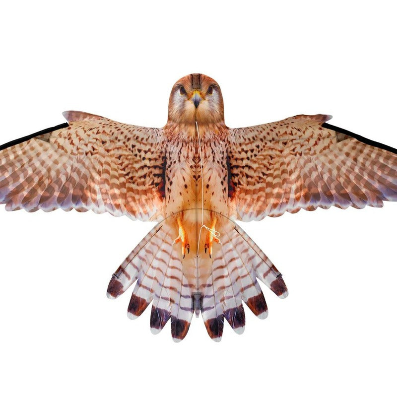 Kestrel Kite