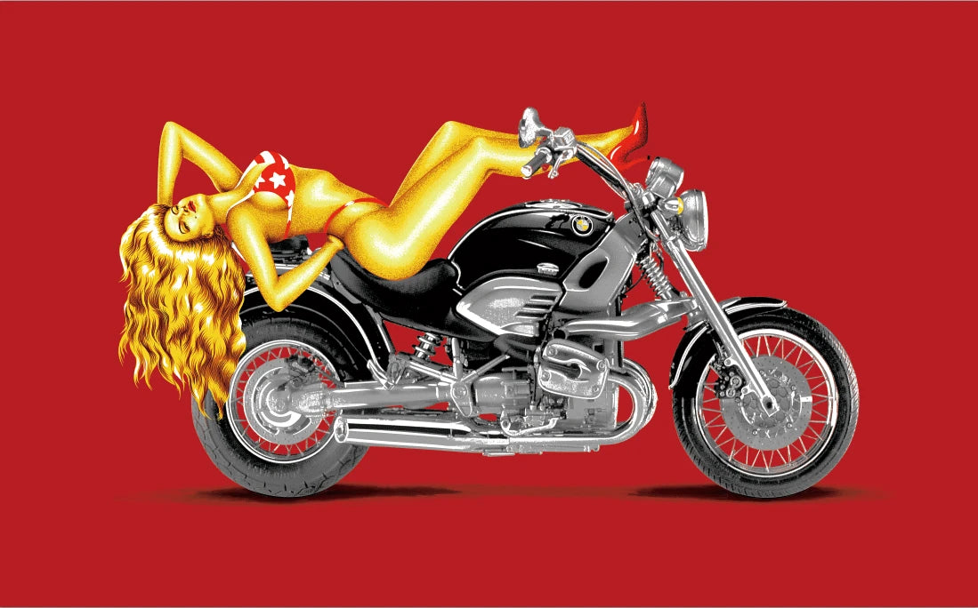 5x3 Girl On Motorcycle Flag
