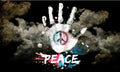 5x3 Peace Hand Flag