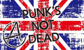 5x3 Punk's Not Dead New Flag