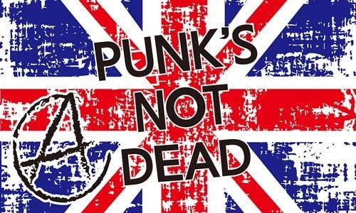 5x3 Punk's Not Dead New Flag