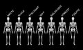 5x3 We Are All The Same Flag