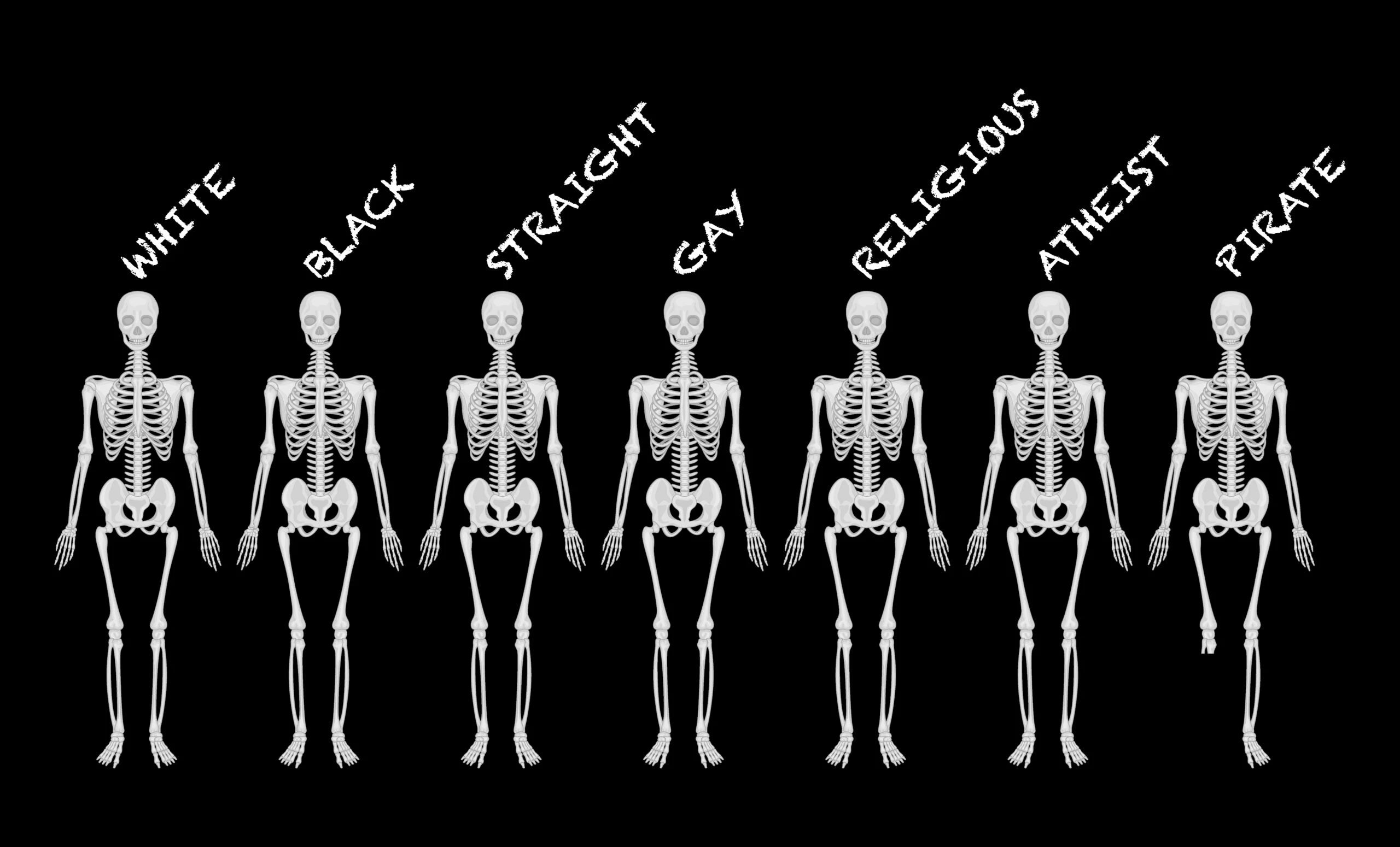 5x3 We Are All The Same Flag