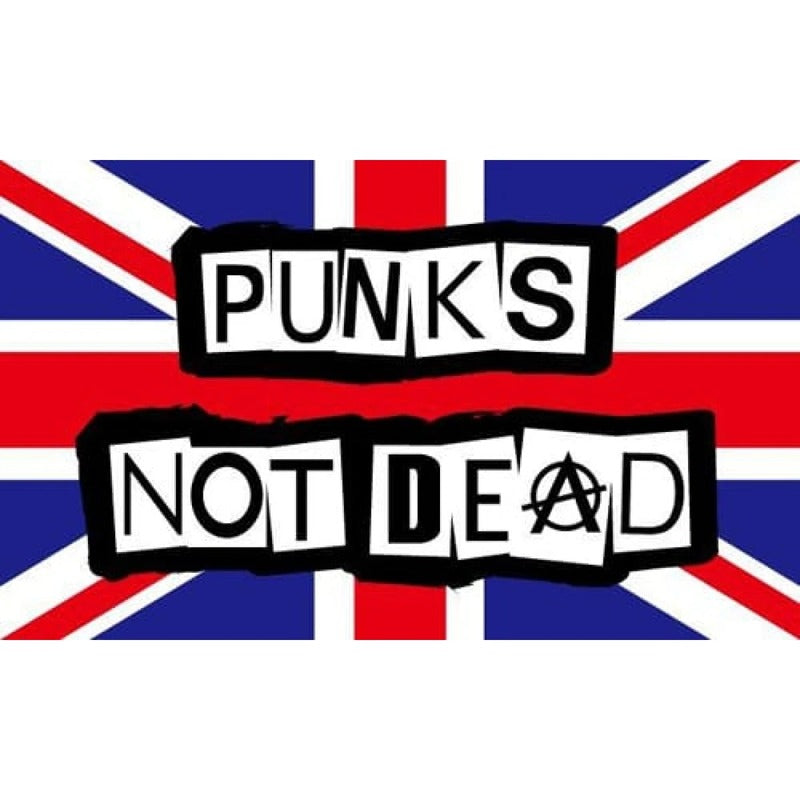 5x3 Punk's Not Dead Flag