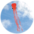 Orange Octofoil Octopus Kite