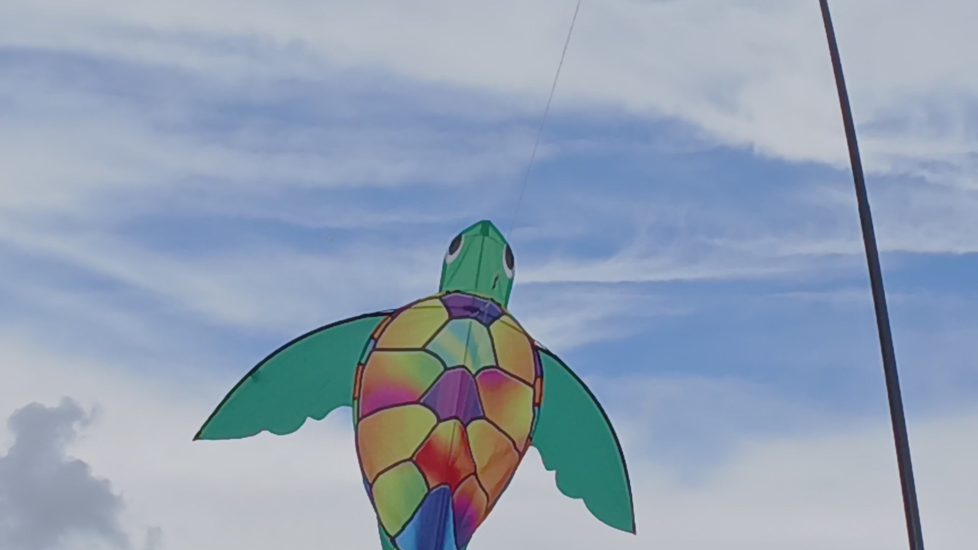 Giant Turtle Kite
