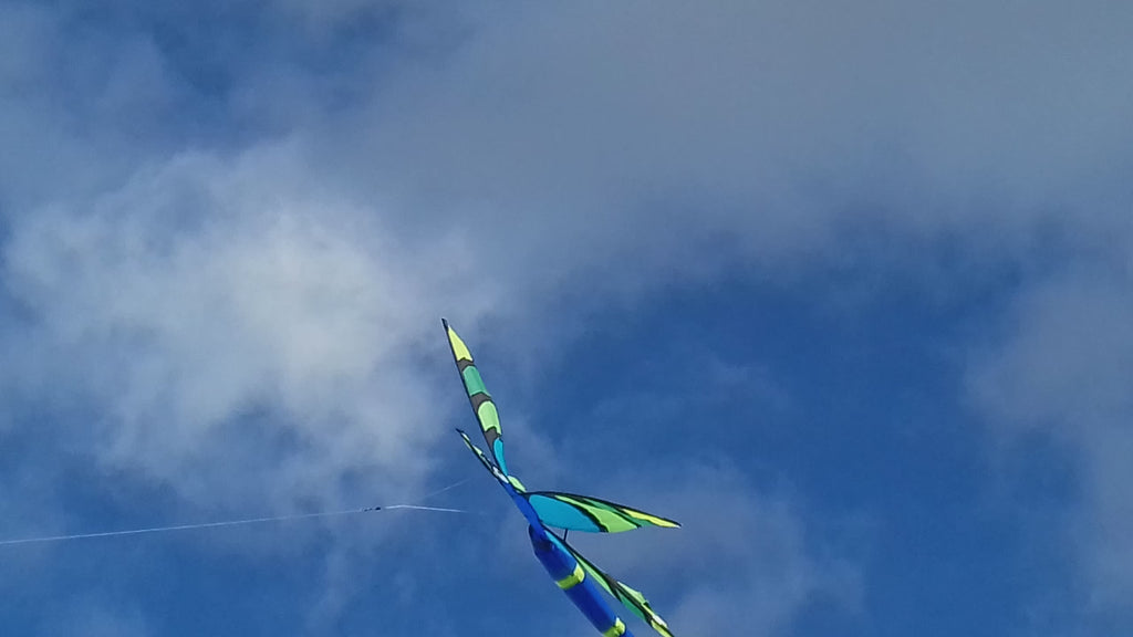 Dragonfly Kite