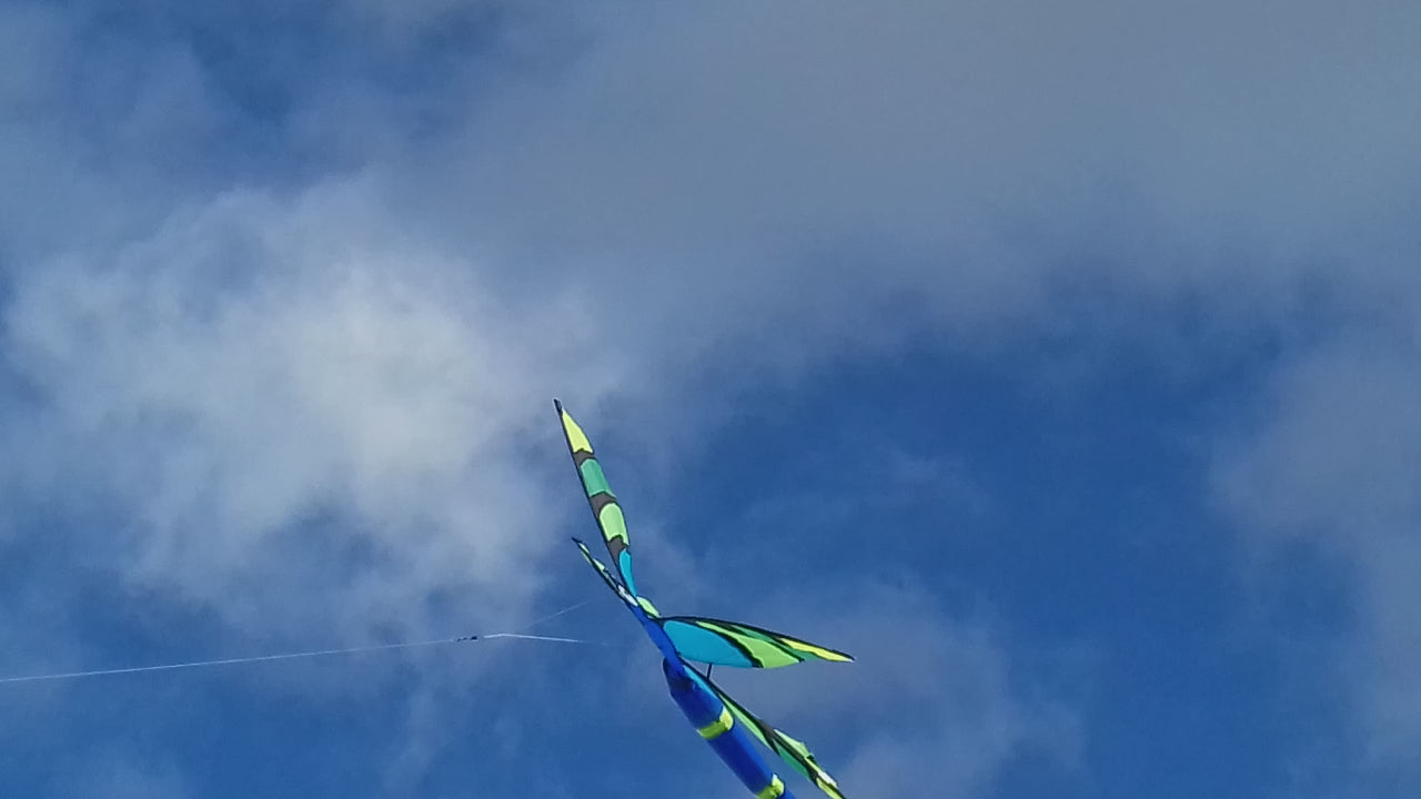 Dragonfly Kite