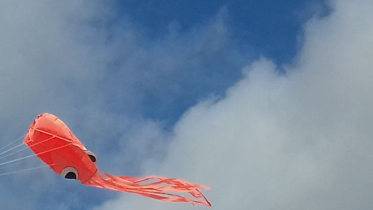 Orange Octofoil Octopus Kite
