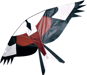Red Kite