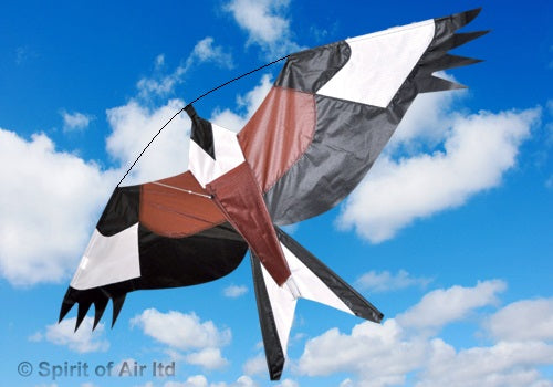 Red Kite