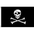 5x3 Skull & Crossbones Flag