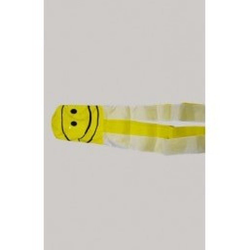 Smiley Windsock