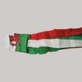 Wales Windsock
